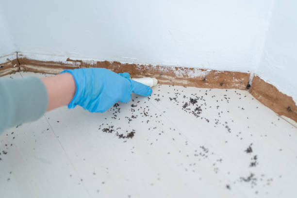 Best Pest Exclusion Services  in Beloit, KS